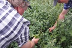 Meer kennis minder middelen