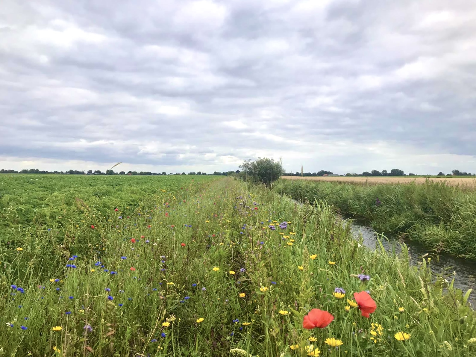 Regiodeal Natuurinclusieve Landbouw Anog